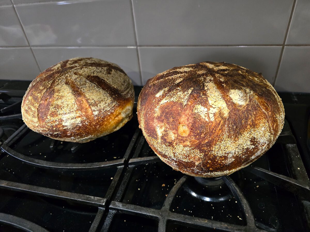 Starry Night Pain de Campagne - Image 3