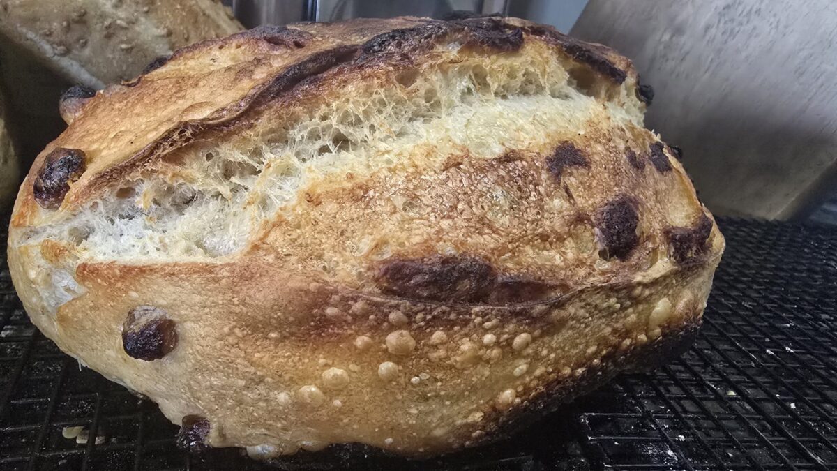 Cinnamon Raisin Pain de Campagne